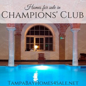 Homes for Sale in Champions' Club, Trinity, FL