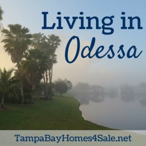 Living in Odessa, FL - Odessa Homes for Sale