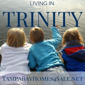 Living in Trinity, FL - Homes for Sale