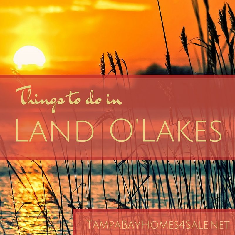 Things to Do in Land O' Lakes FL - Homes for Sale