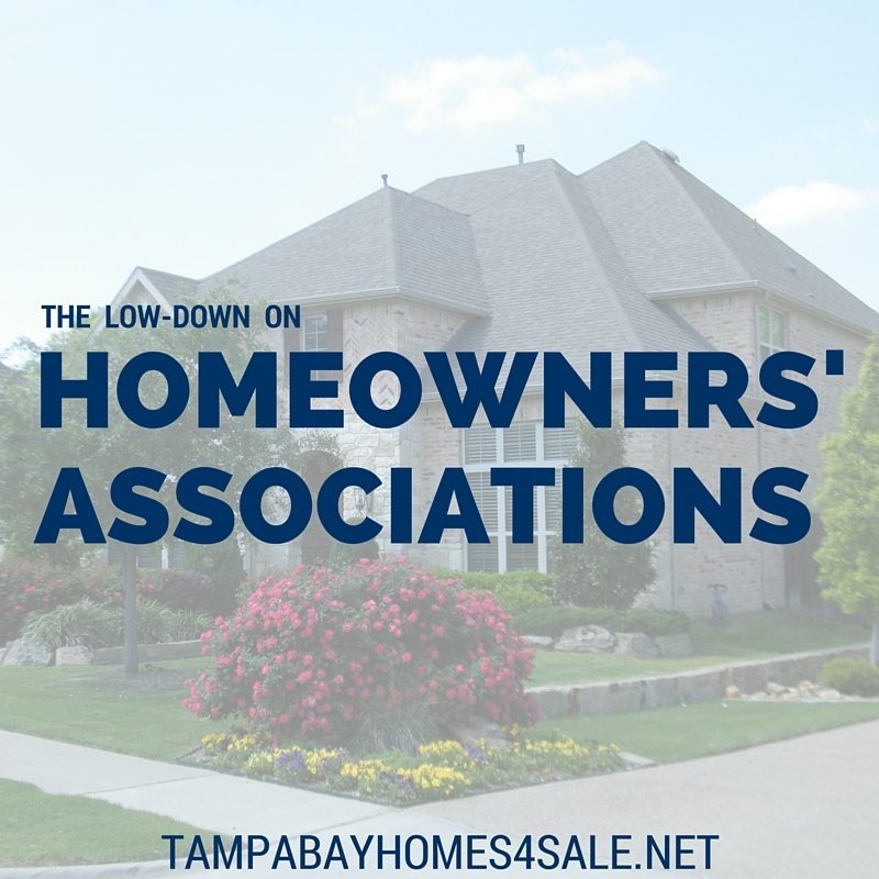 What is a Homeowners' Association - Tampa Bay Homes for Sale