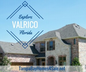 homes for sale in Valrico fl