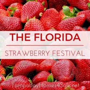 Florida Strawberry Festival - Plant City Homes for Sale