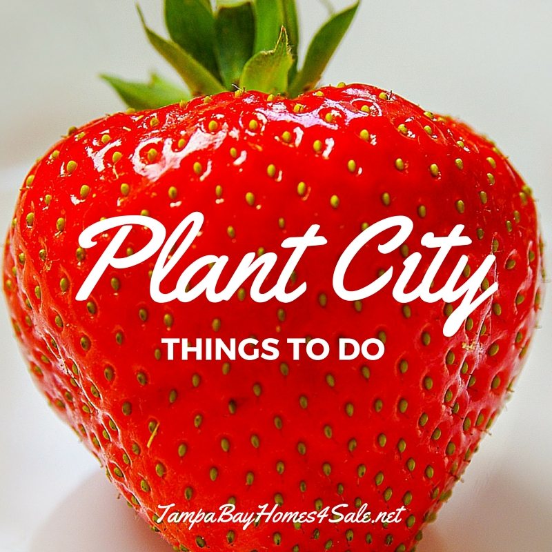 things to do in plant city - plant city homes for sale