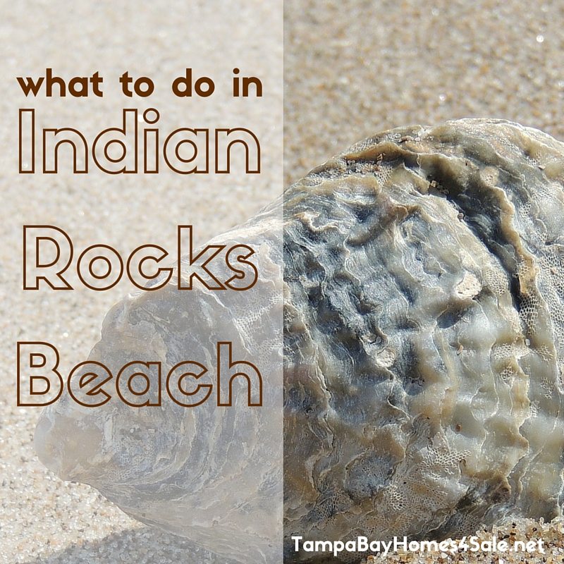 What to Do in Indian Rocks Beach
