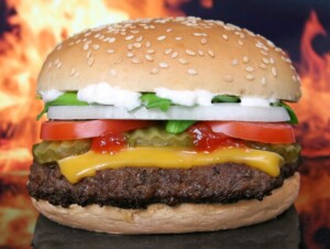 tampa-bay-burger-recipe-tampa-bay-homes-for-sale