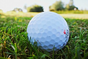 Apollo Beach Golf Club - Apollo Beach Real Estate Listings