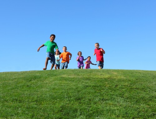 3 Fun Things to Do With Kids in Dunedin, FL