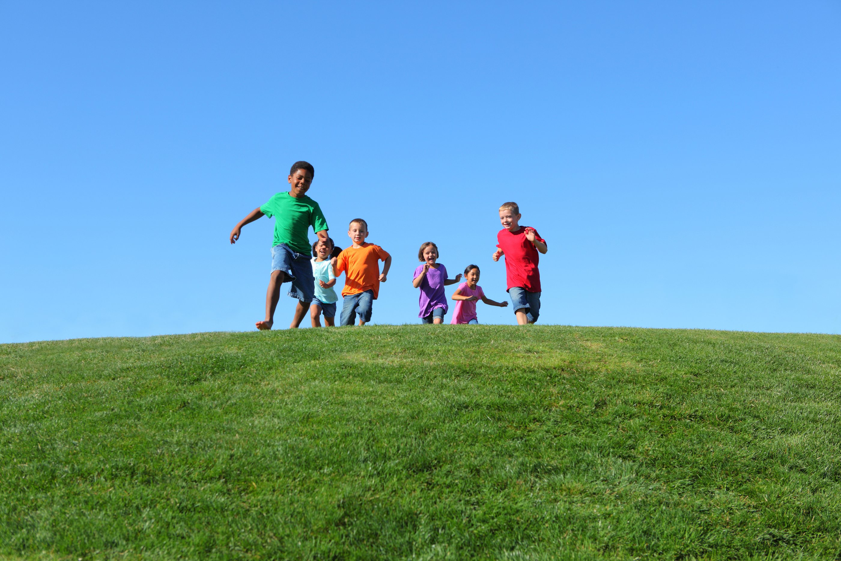 3 Fun Things to Do With Kids in Dunedin, FL