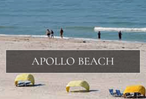Apollo Beach FL Homes for Sale