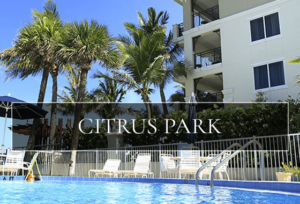 Citrus Park FL Homes for Sale