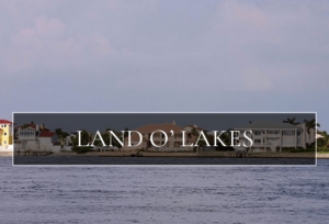 Land O' Lakes FL Homes for Sale