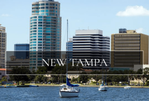 New Tampa FL Homes for Sale