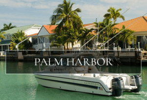 Palm Harbor FL Homes for Sale