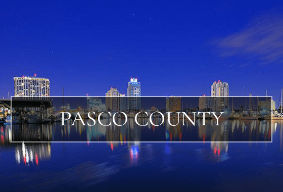 Homes for Sale in Pasco County Florida - Pasco County Property | Tampa