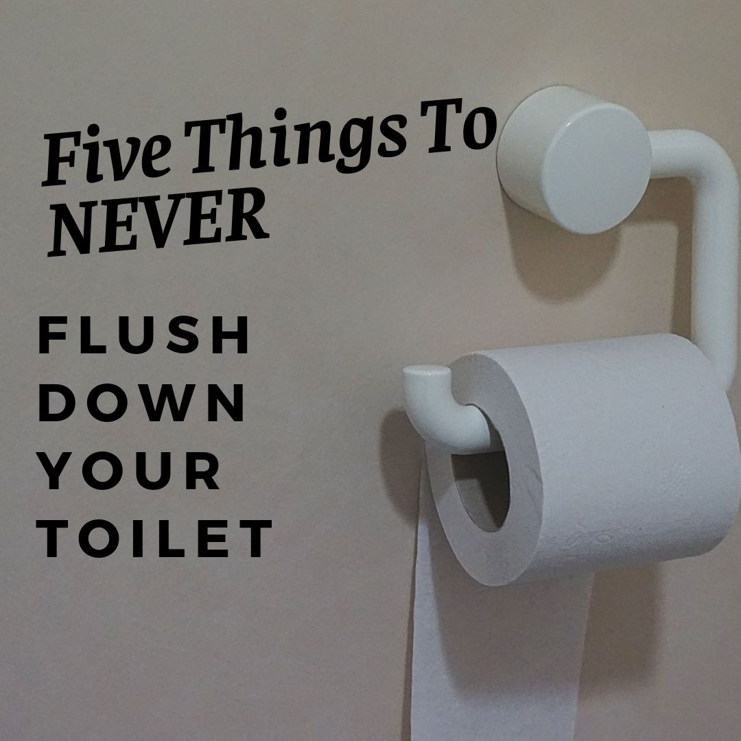 Five Things To NEVER Flush Down Your Toilet