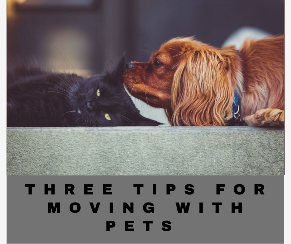 Three Tips For Moving With Pets