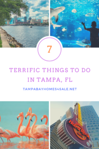 7 Terrific Things to Do in Tampa, FL