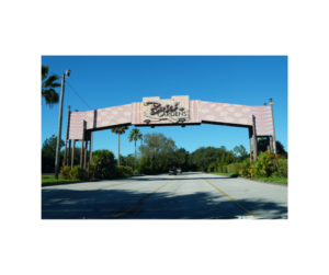Thinking of Visiting Busch Gardens Tampa Bay? Read This First