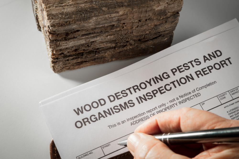 Should You Get a Pest Inspection?