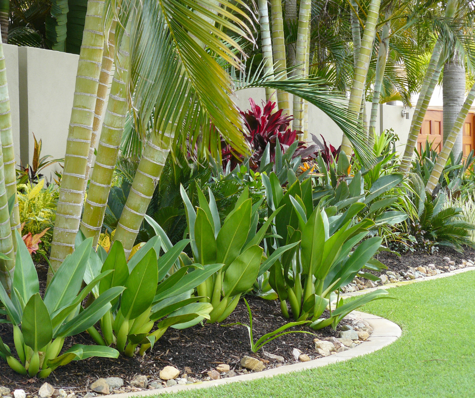 5 Xeriscaping Tips for Tampa Homes